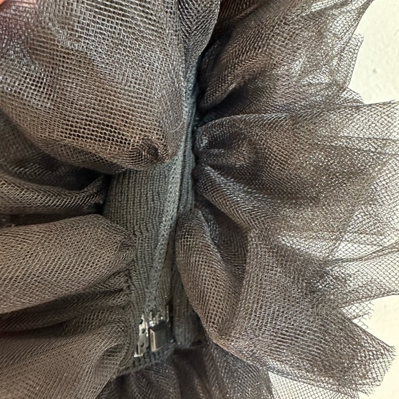 NWOT Zara Tulle Crop Top - Picture 5 of 5